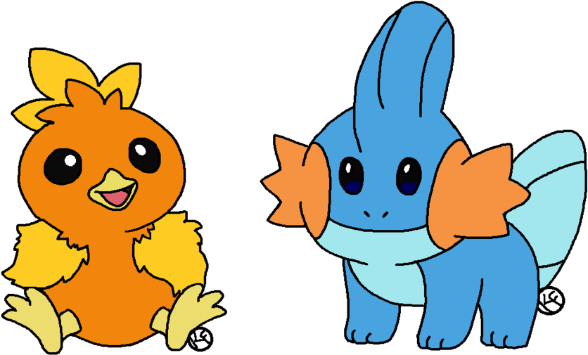 Mudkip And Torchic Practice By Kokirimisty On Deviantart - Pokemon Torchic And Mudkip (900x537), Png Download