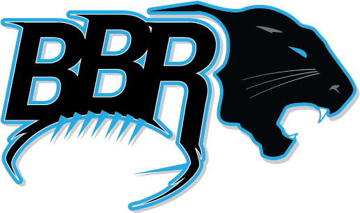 Bill Voth On The Carolina Panthers - Logo Bbr (528x329), Png Download