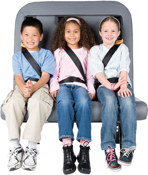Quick Links - Seat Belt In School Buses (543x657), Png Download