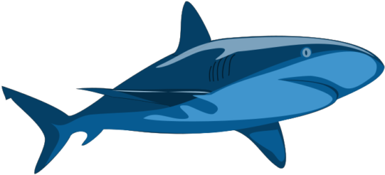 Shark Pure - Vector Clip Art Shark (550x248), Png Download