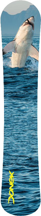 Shark Attack - Læs Med Sebastian Klein: Verdens Farligste Hajer (bog) (213x1000), Png Download