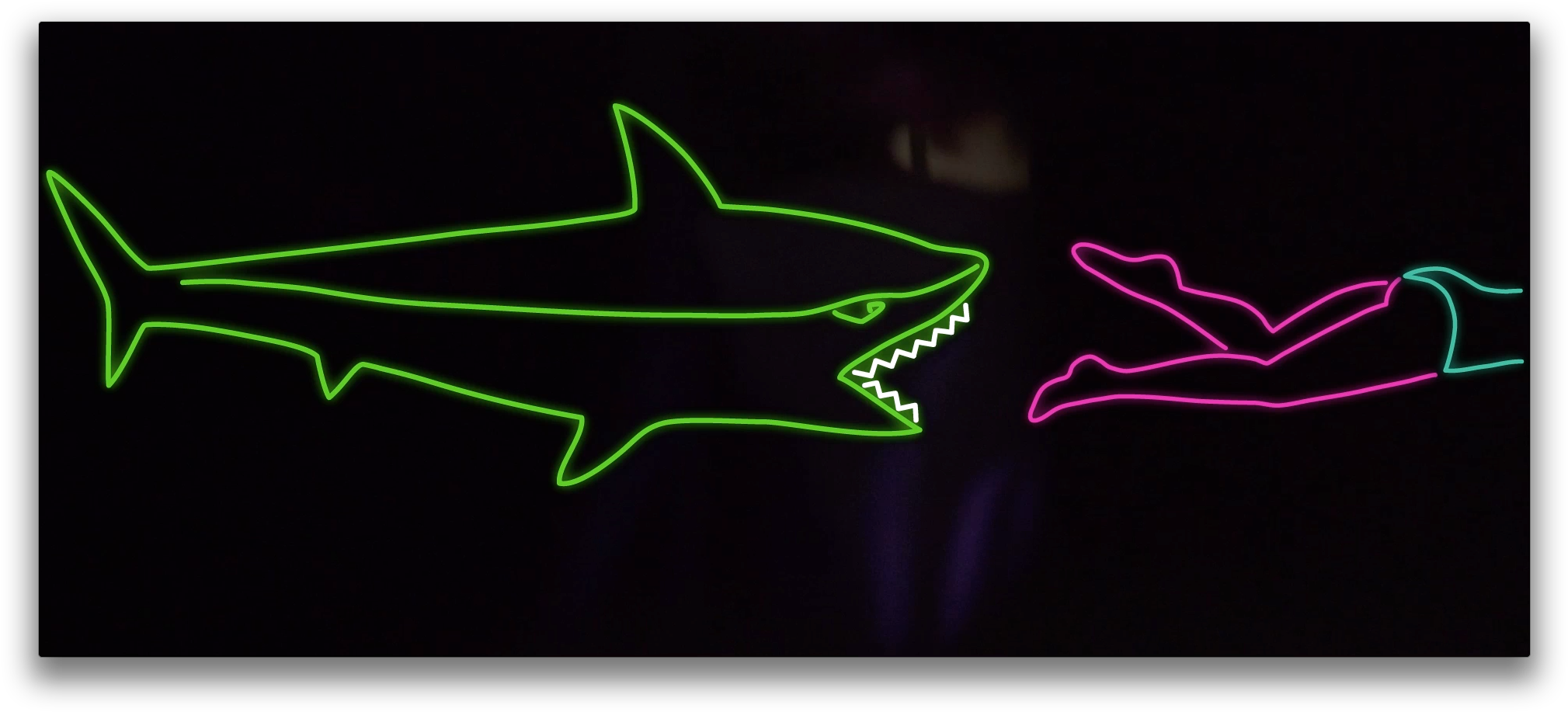 Share - Cartilaginous Fish (2034x932), Png Download
