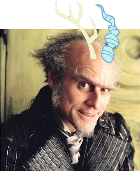 A Series Of Unfortunate Events, Count Olaf, Discord, - Series Of Unfortunate Events Movie Jim Carrey (503x582), Png Download