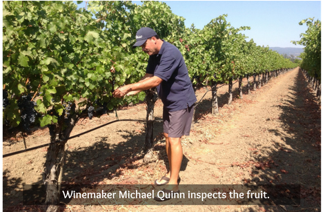 Michael-scott Wines - Wine (650x306), Png Download