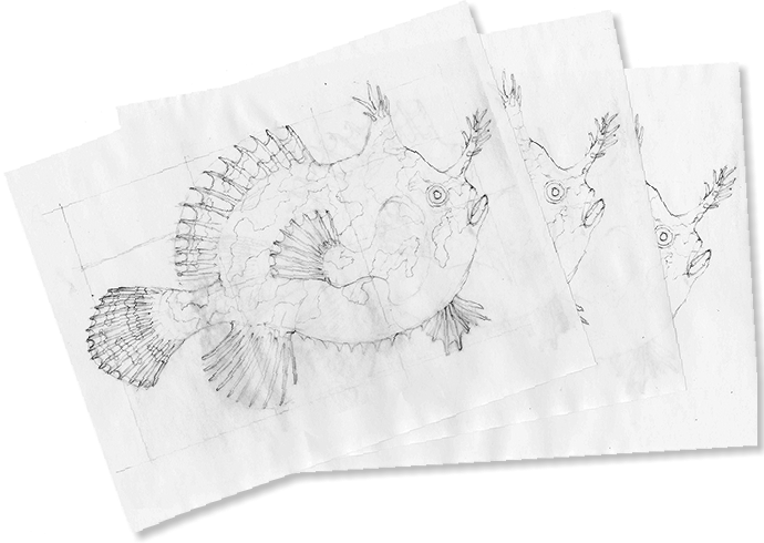 I Sandwich Each Copy With A Piece Of Color Paper And - Sketch (690x490), Png Download