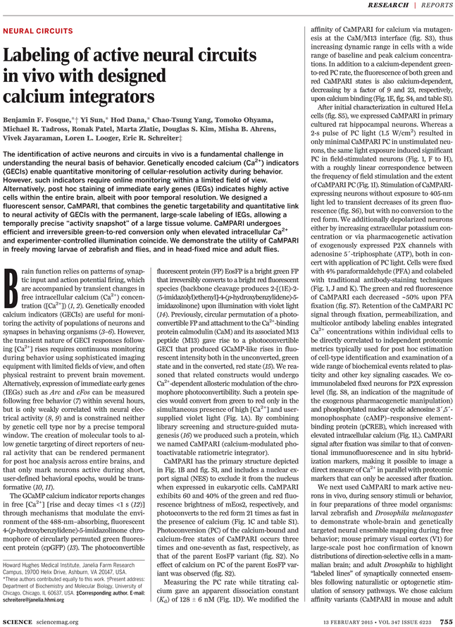 Ferderal Minimum Wage Poster (729x929), Png Download