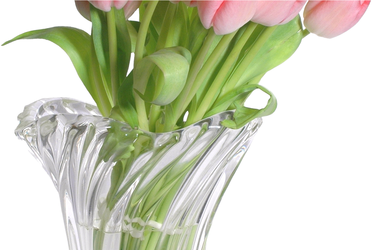 Flower Vase Download Transparent Png Image Png Arts - Flower Vases With Bible Verses (1368x855), Png Download