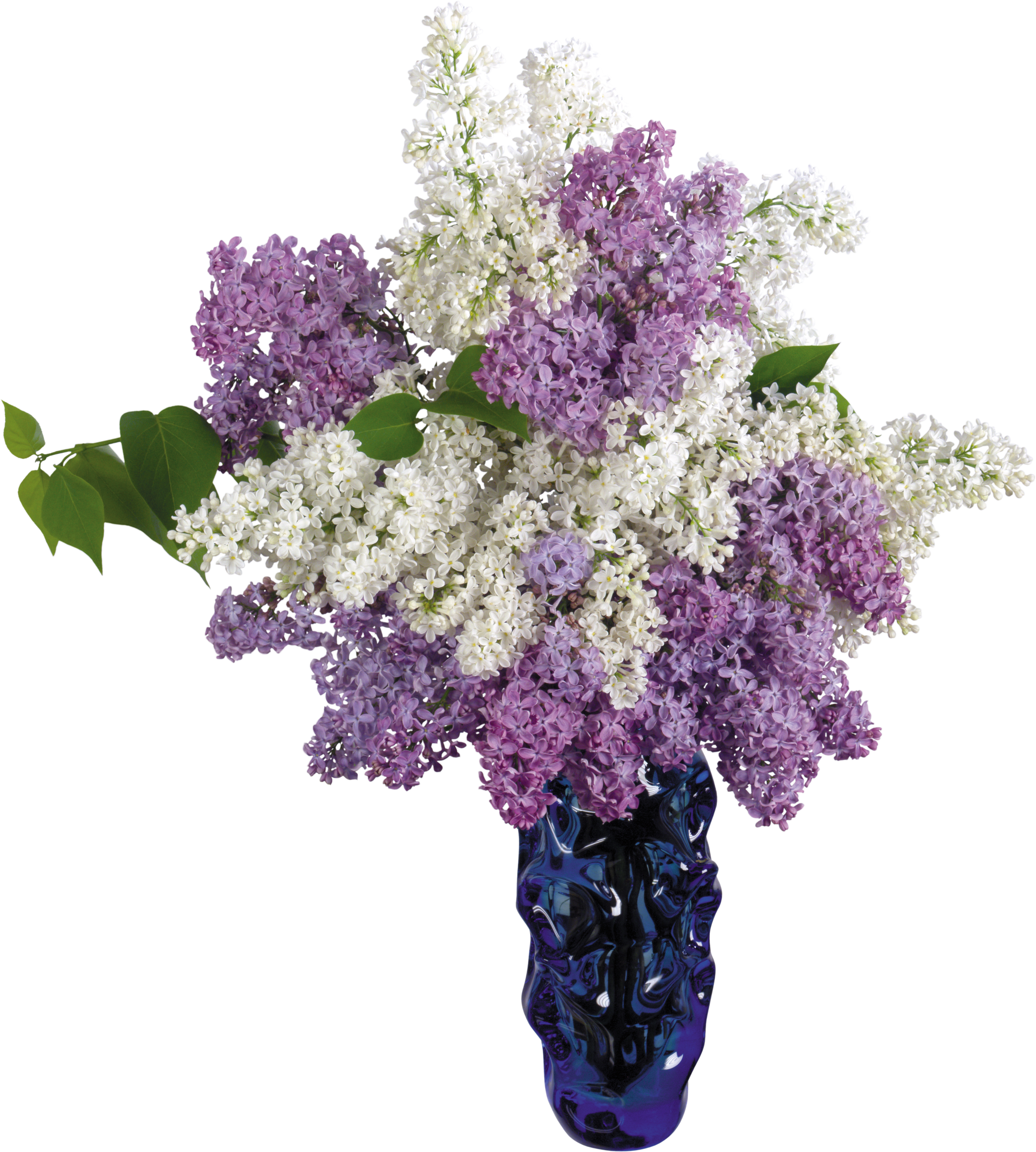 White And Purple Lilac Bouquet (1306x1452), Png Download