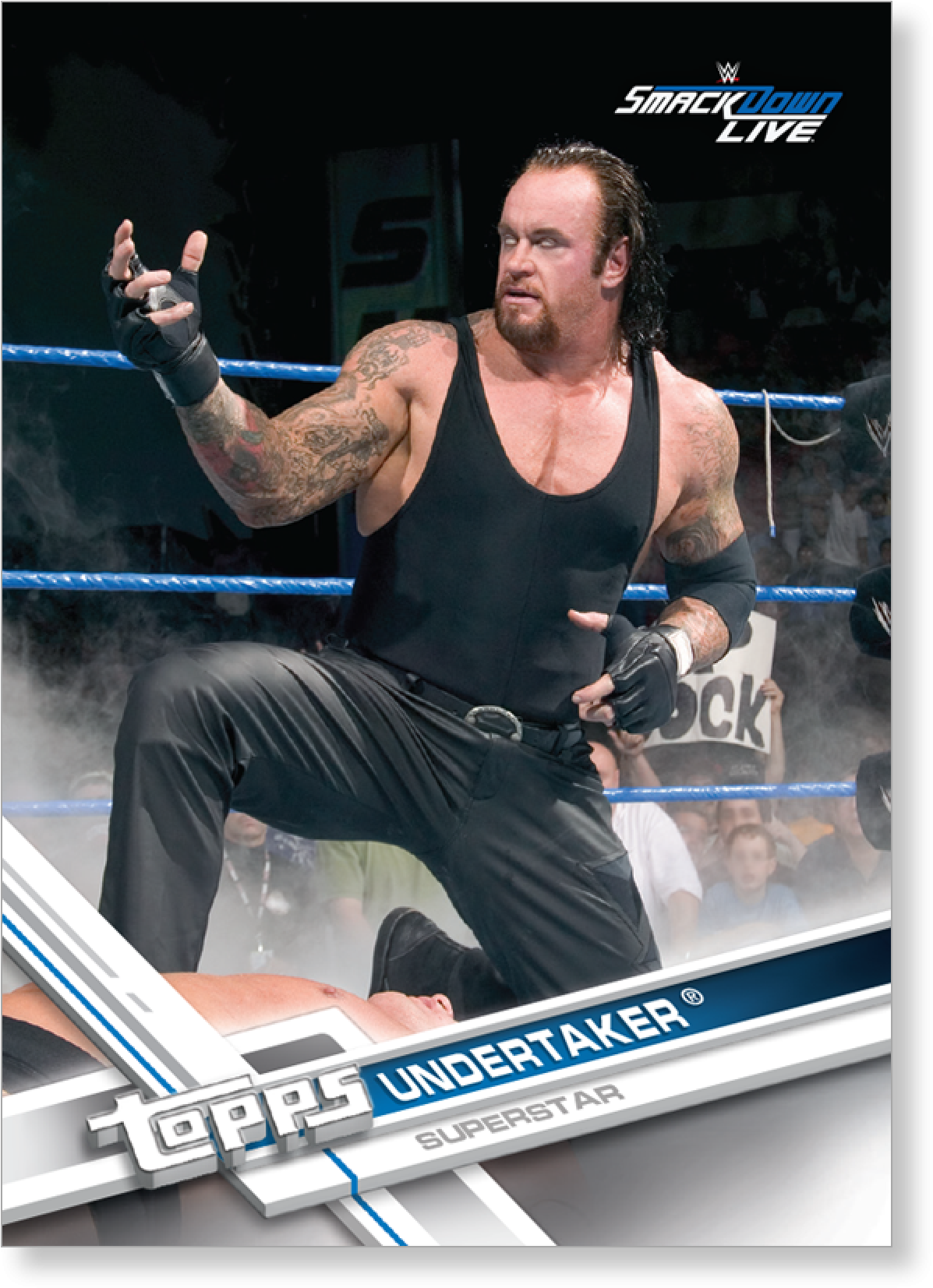 Professional Wrestling (2000x2000), Png Download