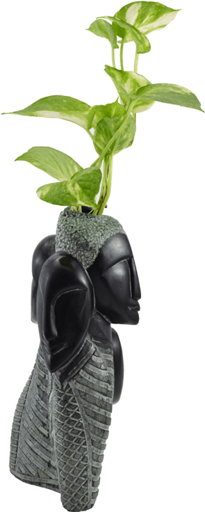 Black Stone Flower Vase - Vase (800x800), Png Download