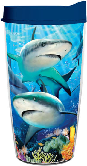 Animals And Wildlife - Ravensburger - Caribbean Smile Puzzle 60 Pieces (302x599), Png Download