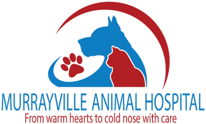 Ahlawat Gave An Immediate Appointment To Thrasher's - Veterinary (450x273), Png Download