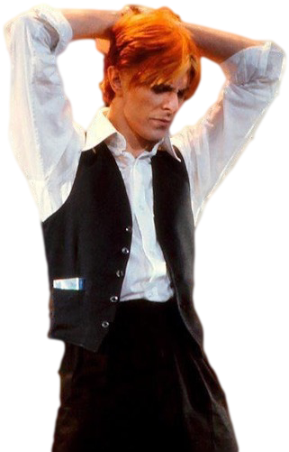 Transparent Background Station To Station, The Thin - David Bowie Transparent (400x502), Png Download