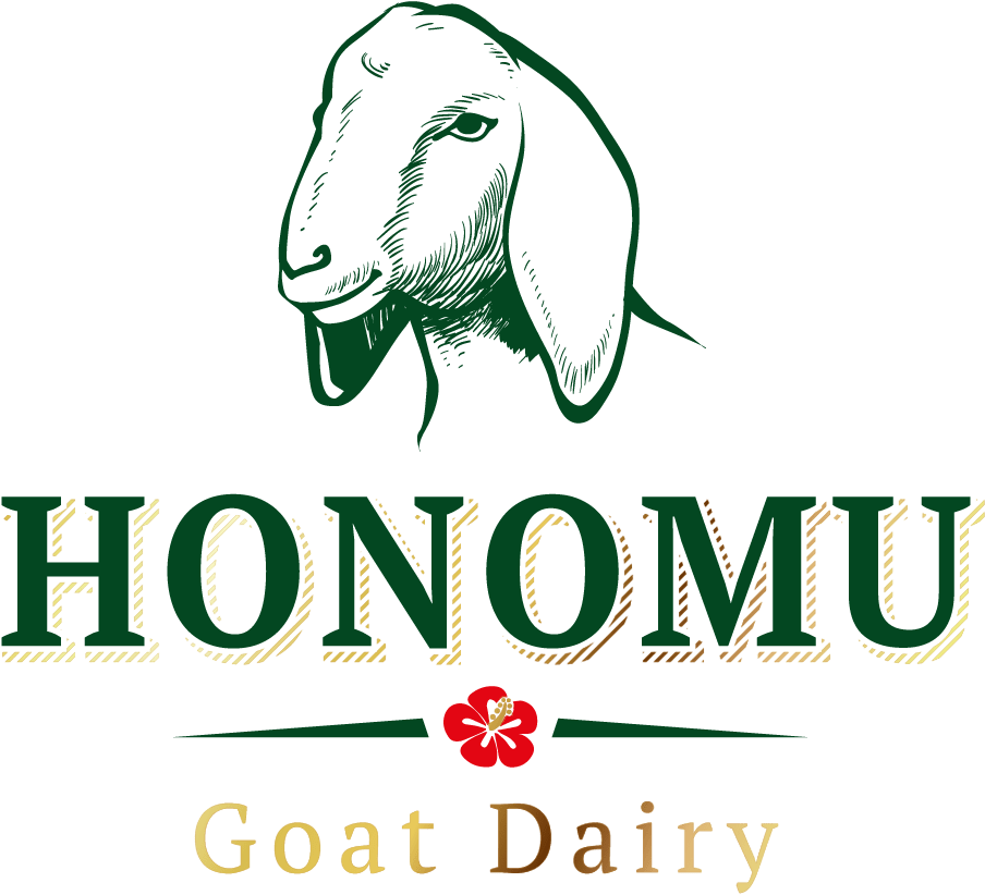 Goat Logo Designs (1200x1000), Png Download