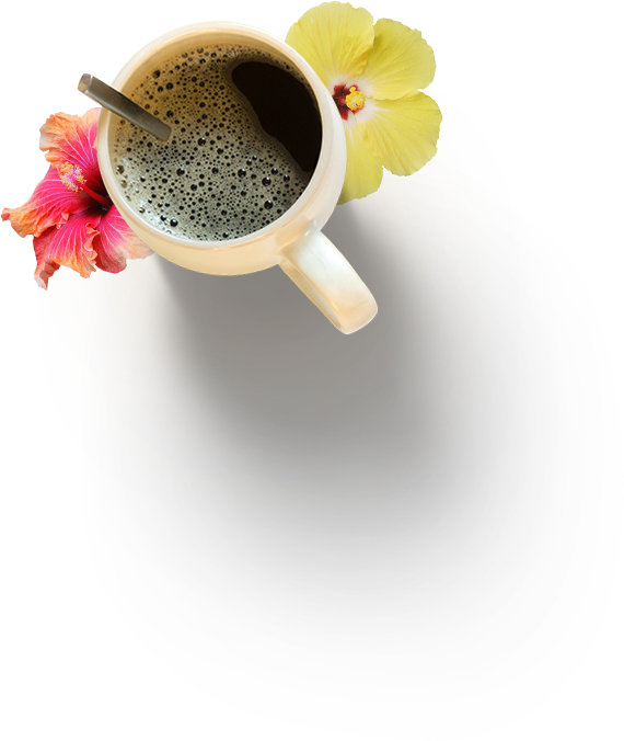Christopher And Aniko Somogyi - Coffee Cup (570x676), Png Download
