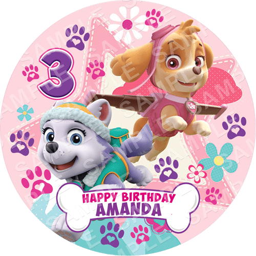 Download Skye And Everest Skye Happy 3rd Birthday Party Supply