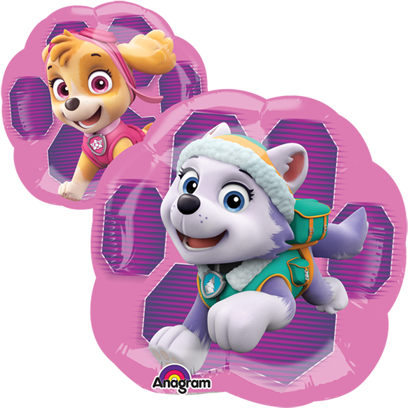 Skye & Everest Minishape - Paw Patrol Mini Balloon (600x600), Png Download