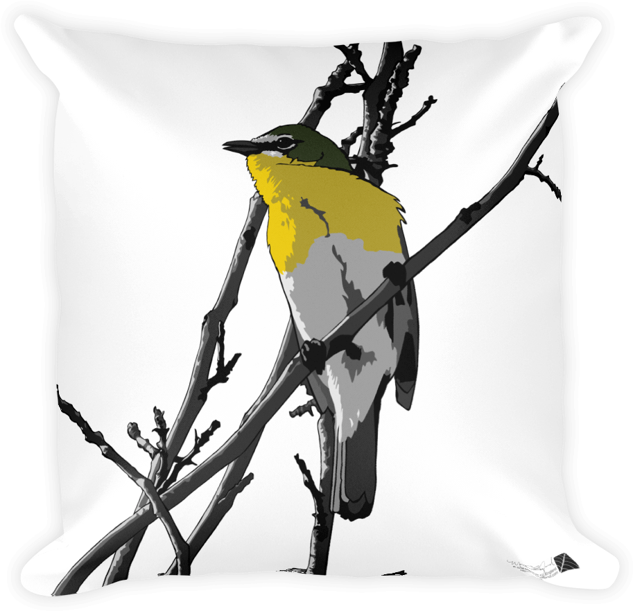 Yellow-breasted Chat (1000x1000), Png Download
