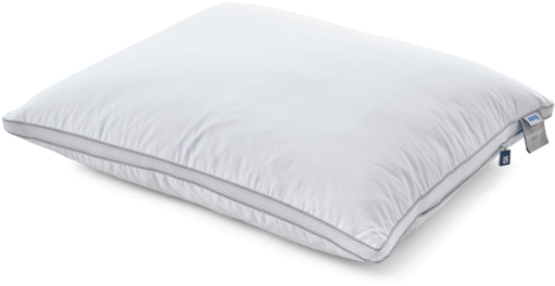 Pillow Comfort Nature - กล่อง ไฮ บ ริ ด กระดาษ เฟส ท์ (550x440), Png Download