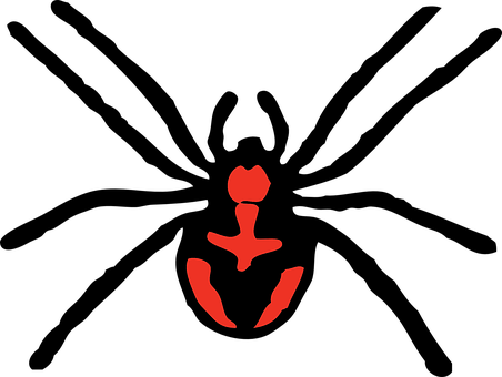 Spider, Creepy, Arachnid, Fear, Horror - Spider Clipart (452x340), Png Download