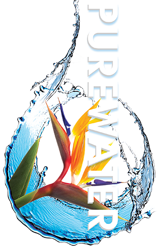 Water (316x488), Png Download