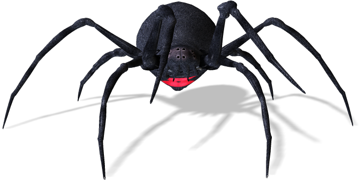 Spiders - Black Widow (735x466), Png Download