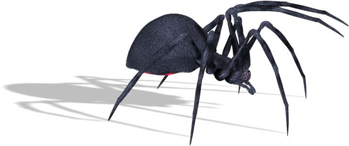 Spiders - Transparent Black Widow Spiders Png (750x326), Png Download