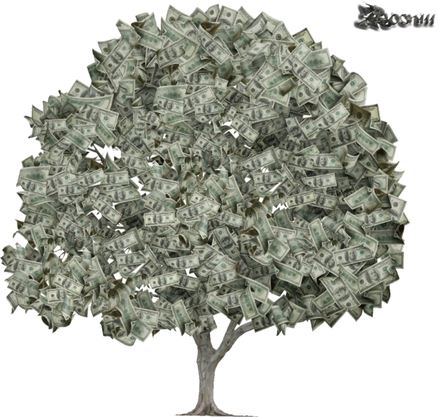 Share This Image - Money On Trees Meme (631x600), Png Download