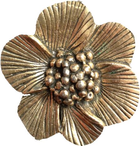 Brooch (622x800), Png Download