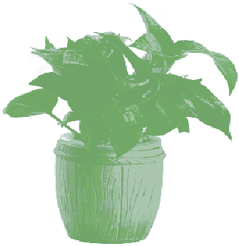 Mb Image/png - Stock.xchng (800x800), Png Download