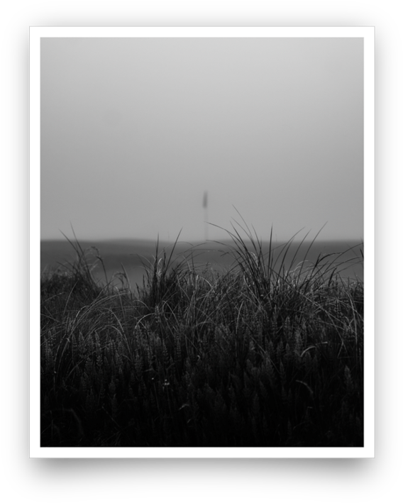 Fog Fescue Giclée Print - Monochrome (900x898), Png Download