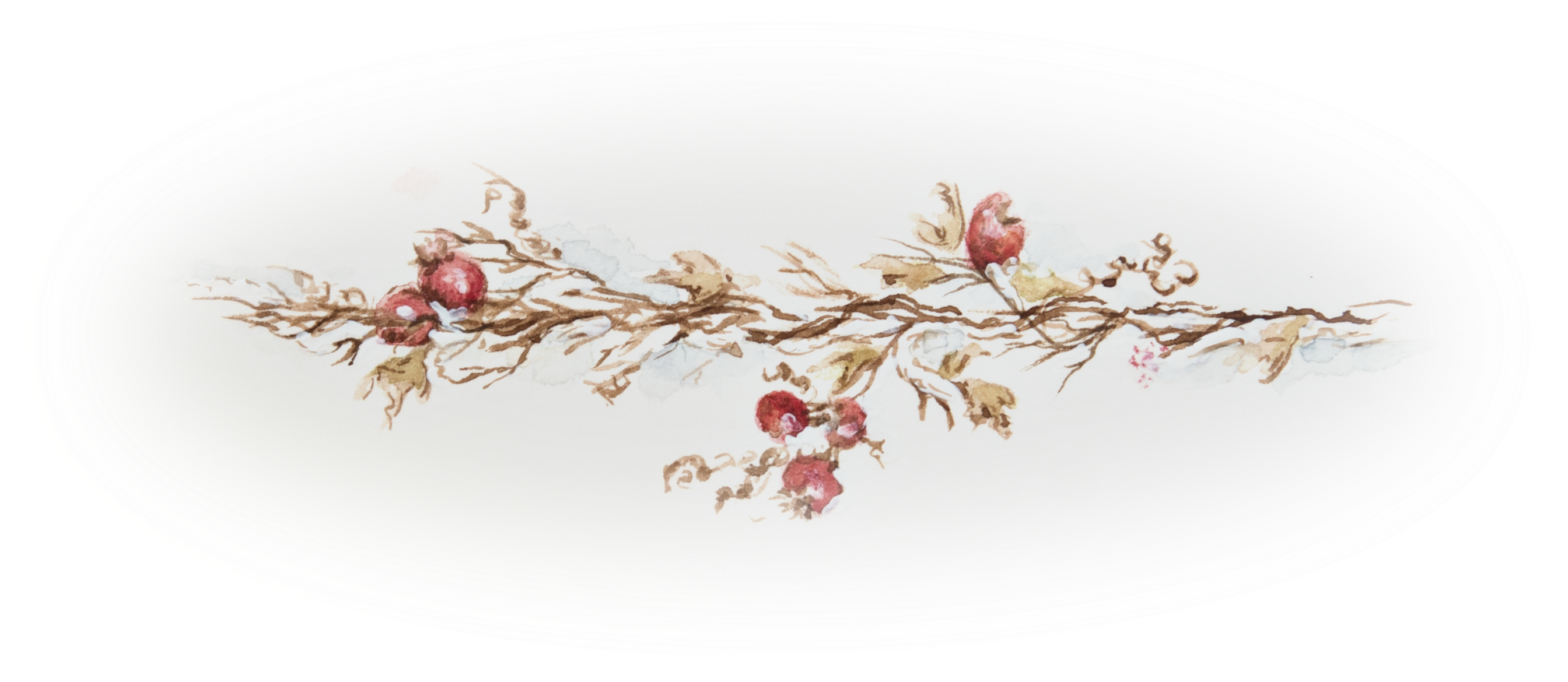 Watercolor Illustrations Cheri Cottrell - Watercolor Painting (3044x1246), Png Download