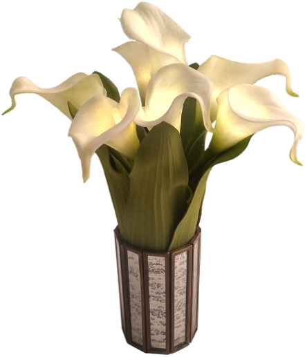 Lily (800x600), Png Download