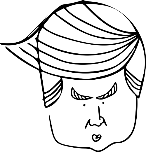 Trump Face - Donald Trump (500x521), Png Download