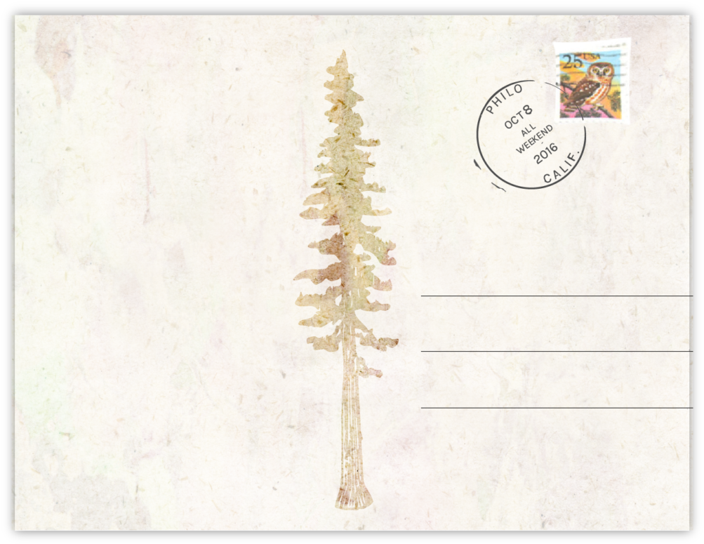 Download Postcard Back Drop Shadow Paper Full Size PNG Image PNGkit