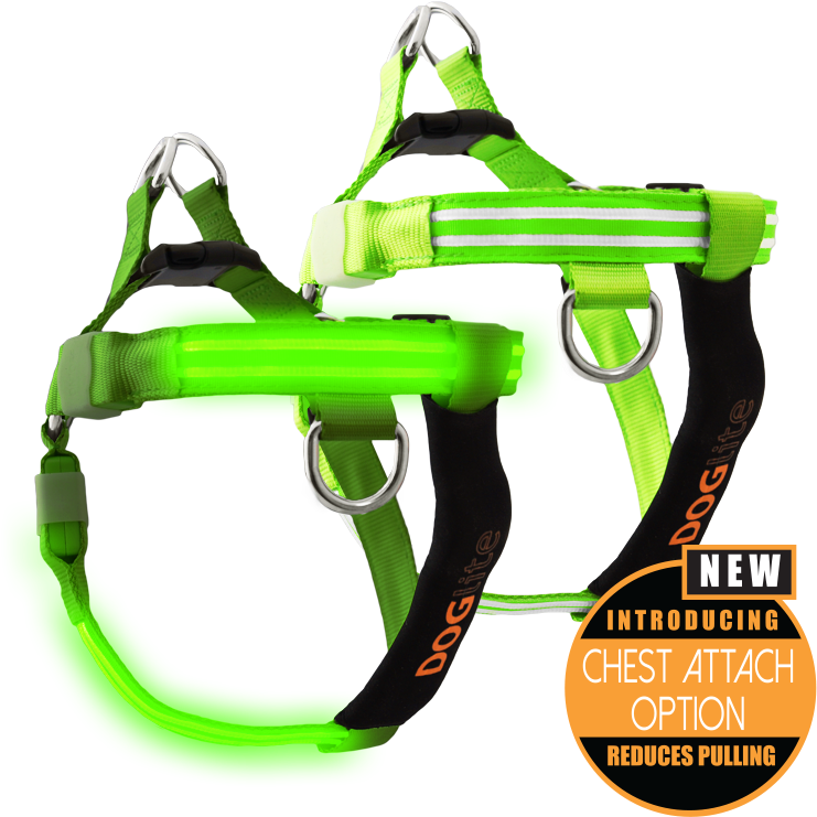 Double Trouble Led Dog Harness - Pet Harness (770x771), Png Download