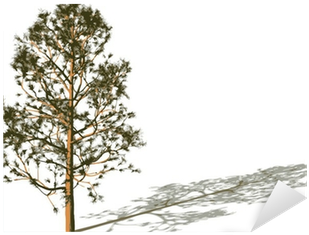 Shadow (400x400), Png Download