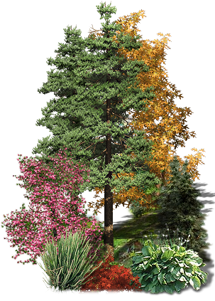 Add - Bomen Psp Tubes (339x450), Png Download