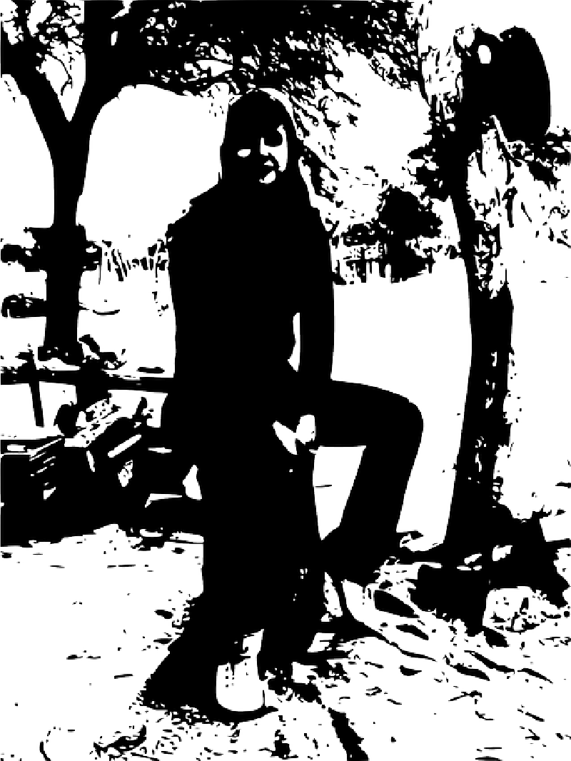 Trees - Silhouette (800x1066), Png Download