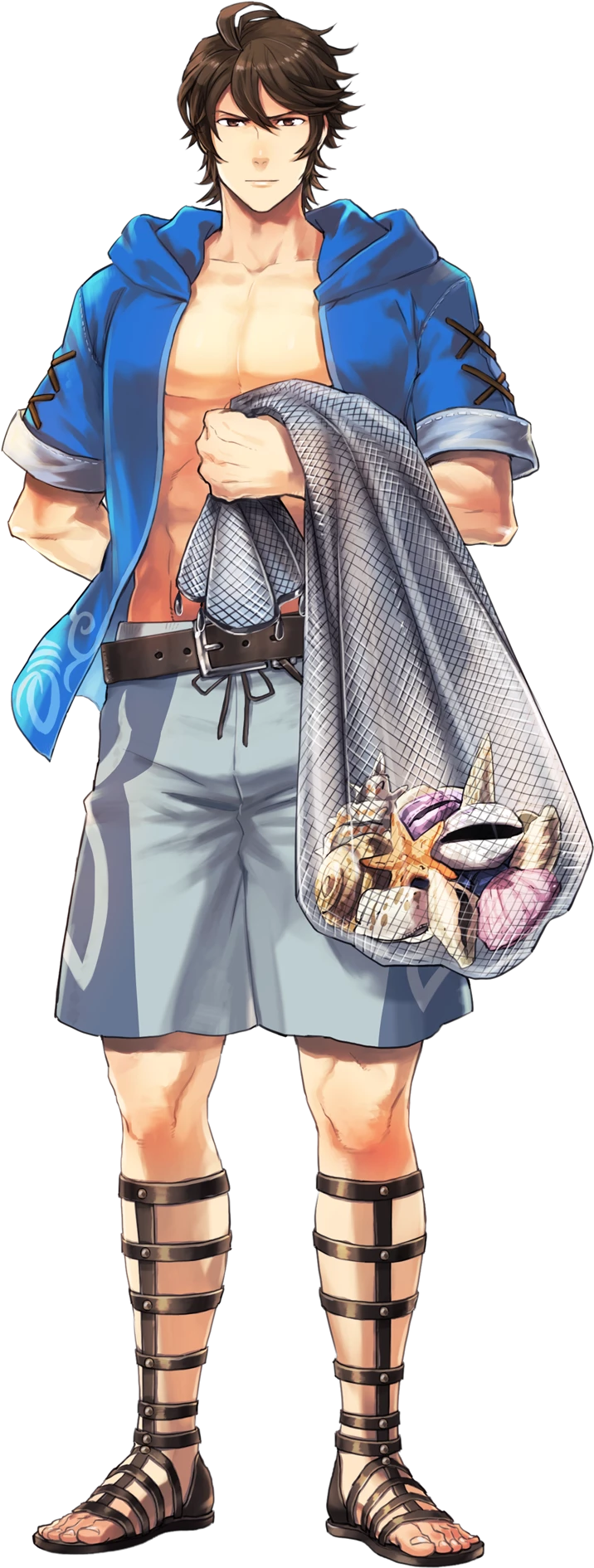 Fire Emblem Heroes Summer Frederick - Fe Heroes Female Robin (1600x1920), Png Download