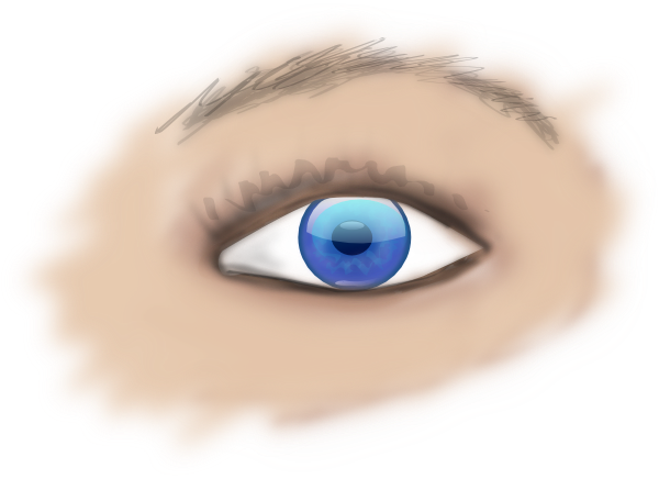 Eye, Iris, Blue, Face, Human, Looking - Human Eye Art Png (467x340), Png Download