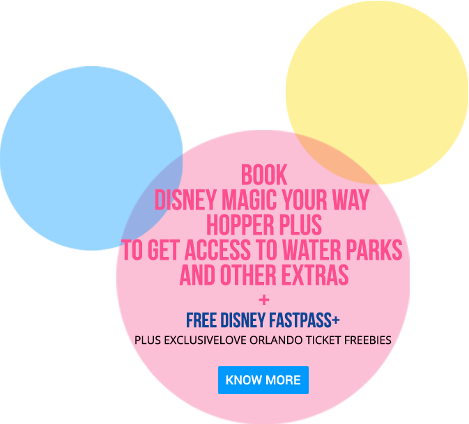 Disney Walt Disney World - Journey Of Success Against All Odds (673x609), Png Download