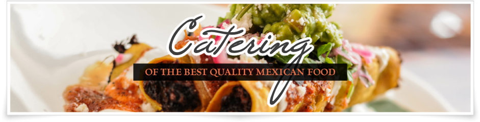Dish (980x260), Png Download