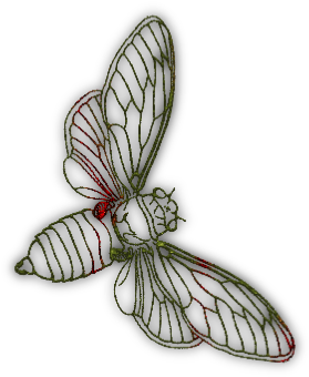 Transparent Background Bee - Portable Network Graphics (351x420), Png Download