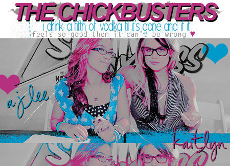 Aj Lee And Kaitlyn Images Aj Lee And Kaitlyn Wallpaper - Fête De La Musique (450x325), Png Download