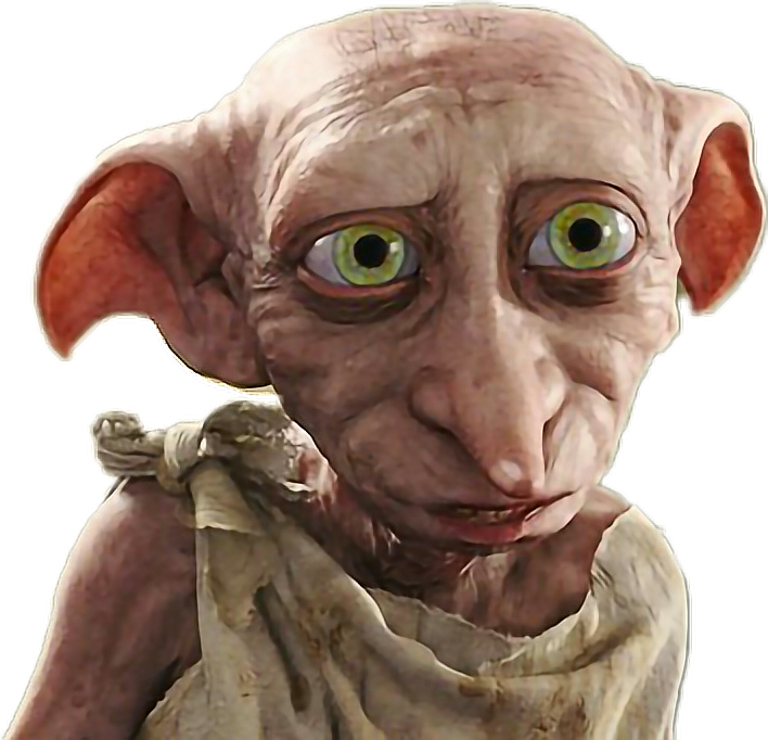 Sweat Ă Capuche Harry Potter "Dobby A Free Elf" - Produit Officiel Warner Bros - Coupe Classique - 241g