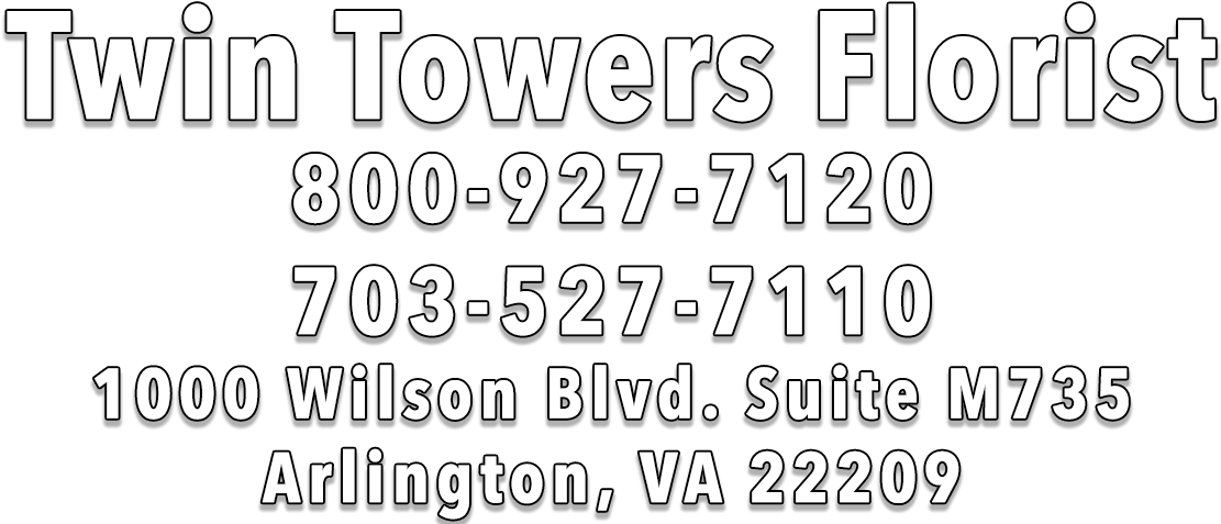 Twin Towers Florist - Calligraphy (1361x487), Png Download