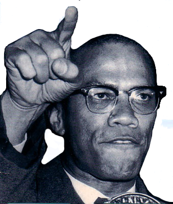 One Word To Describe Malcolm X - Malcolm X (339x400), Png Download