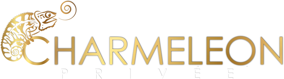 Magellan Investigations Llc (1024x294), Png Download