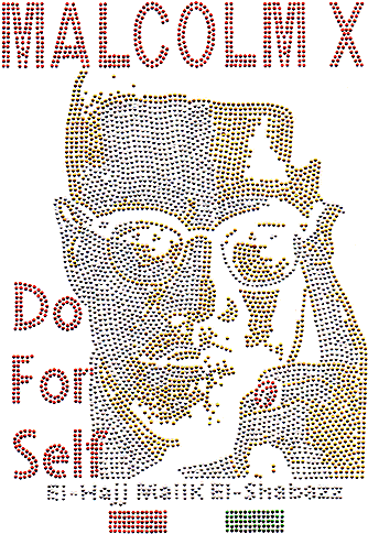 Malcolm X "do For - Malcolm X (500x484), Png Download